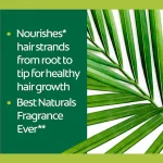 Palmolive Shampoo + Conditioner Avocado Oil & Honey - 180ml × 2 Pcs - Image 5