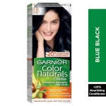 Garnier Color Naturals 2.10 Blue Black
