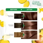 Garnier Color Naturals 7.7 Deer Brown - Image 3