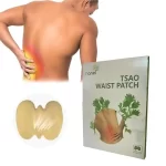 Hanei Tsao Waist Patch - 10 Pcs