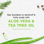 Himalaya Anti-Dandruff Hair Cream - 140ml - Image 2