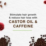 Himalaya Anti-Hair Fall Shampoo Castor + Caffeine - 400g - Image 3