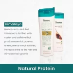 Himalaya Anti-Hair Fall Shampoo Castor + Caffeine - 400g - Image 4