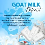 Ishin Premium Whitening Soap - Image 4