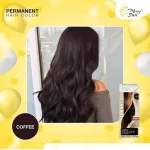 MerrySun Permanent Hair Color - Coffee