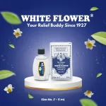 White Flower The Original HOE HIN Embrocation - 5ml - Image 3