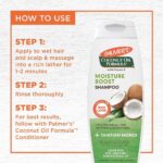 Palmer's, Coconut Oil Formula with Vitamin E, Coconut Oil Shampoo, Dry, Damaged or Color Treated Hair, Moisture Boost, 13.5 fl oz (400 ml) - Image 2