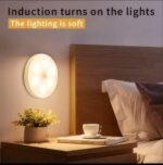 Motion sensor night light with induction trun on light