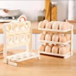 Egg Organisor